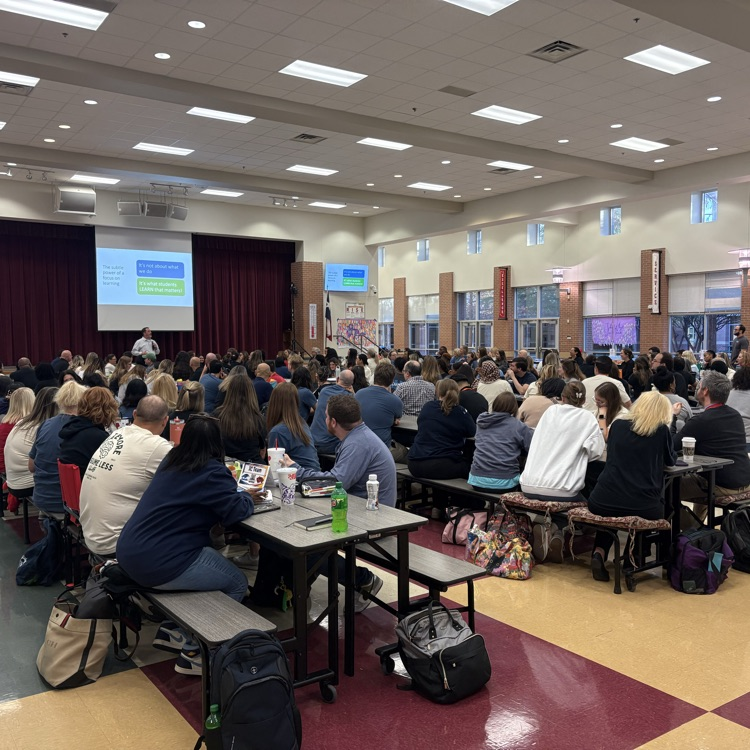professional learning 