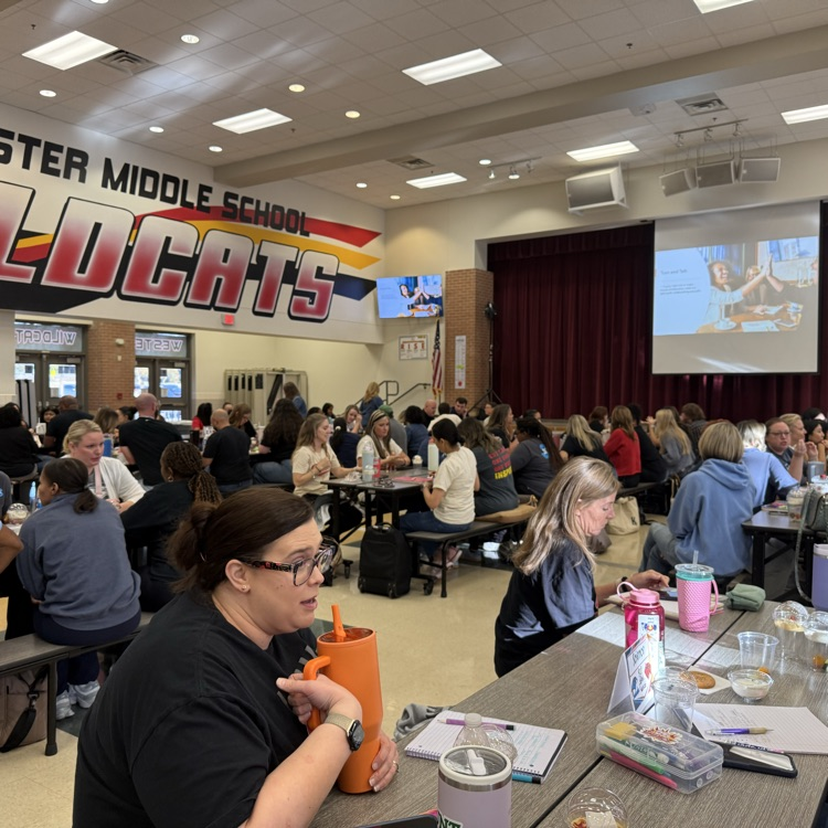 professional learning 