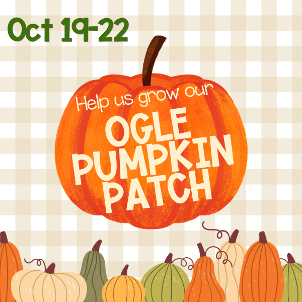help us grow our ogle pumpkin patch
