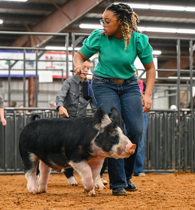 An FFA student with her animal
