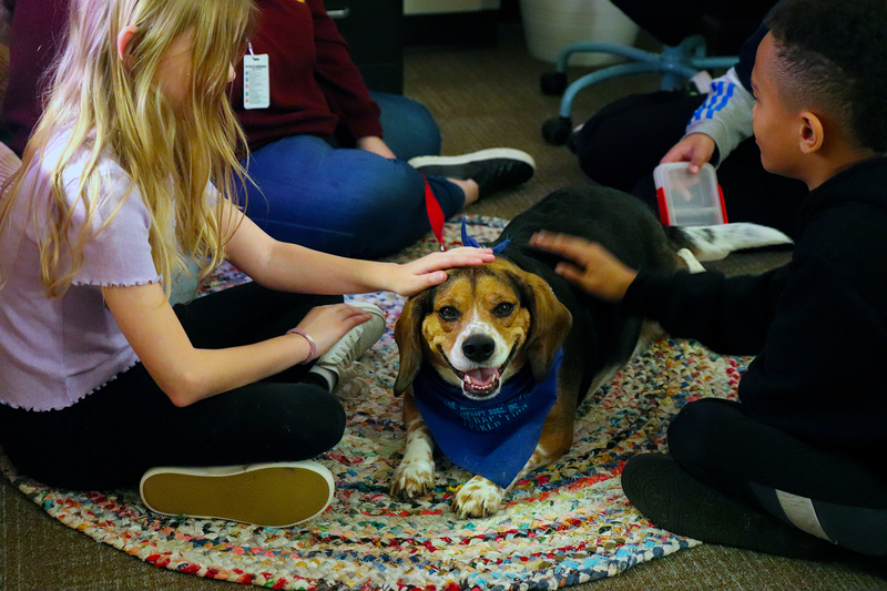 Kids petting Tucker the therapy dog