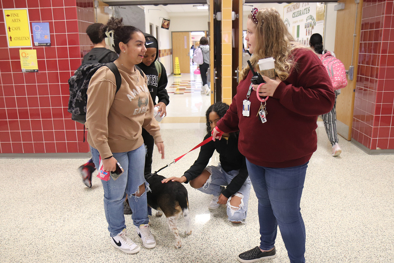 Students and staff with Tucker the therapy dog in the Stafford hallway