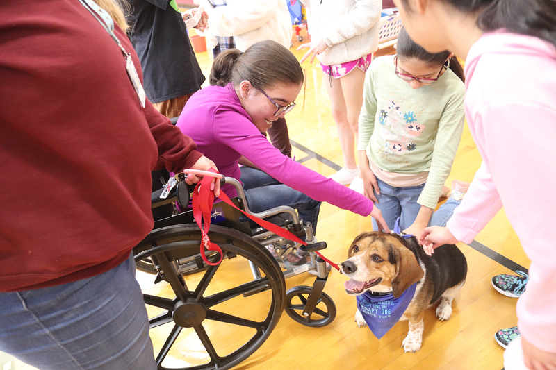 Tucker enjoys pats in a PE class