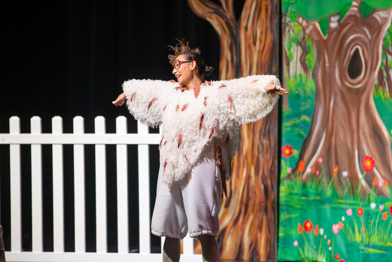 The Ugly Duckling performer