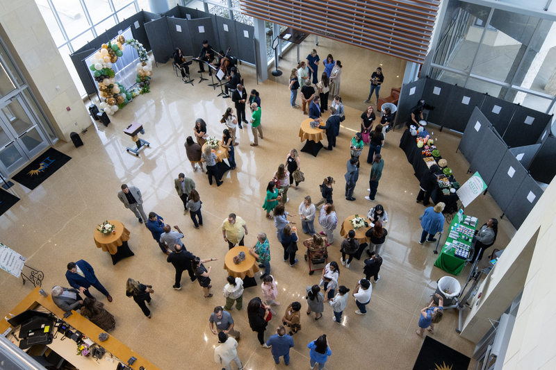 A crowd seen from above