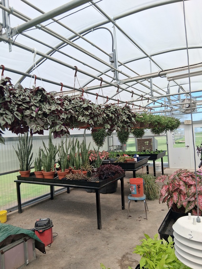 Frontier Public Schools