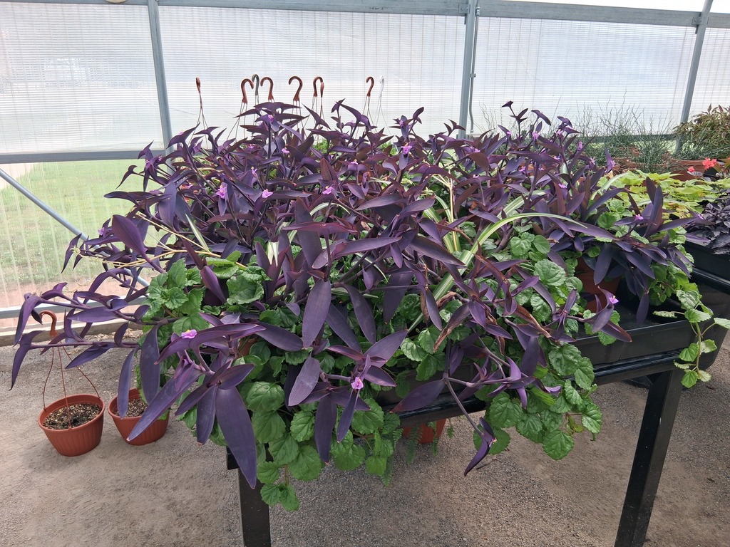 Frontier Public Schools