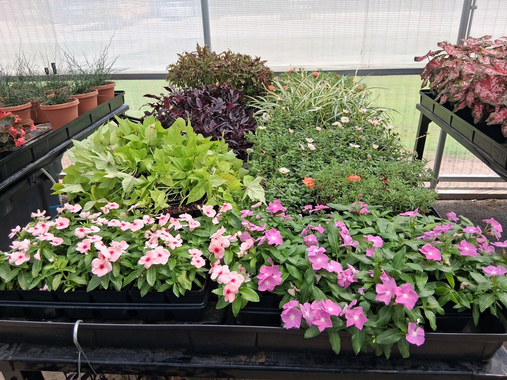 Frontier Public Schools