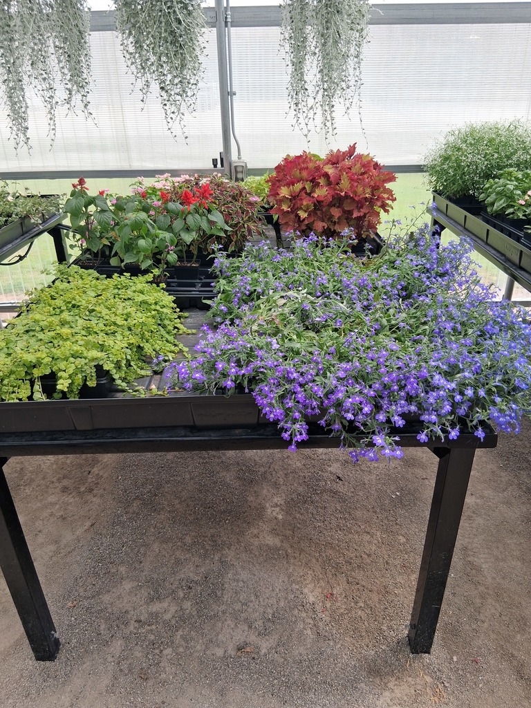 Frontier Public Schools