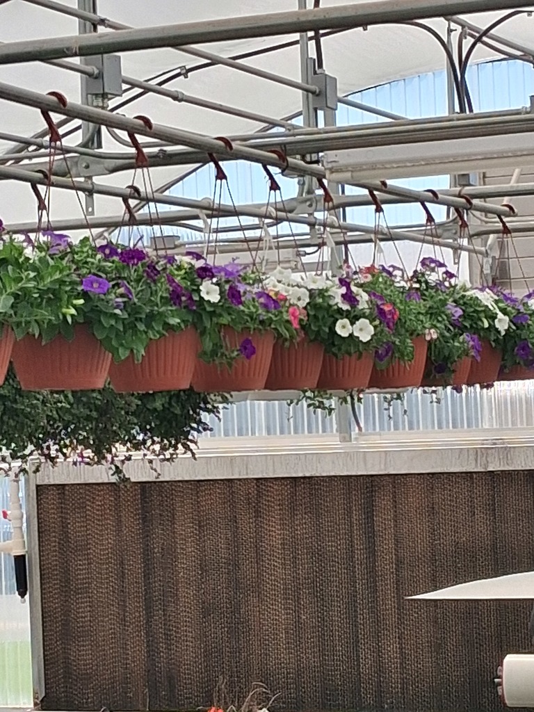 Frontier Public Schools