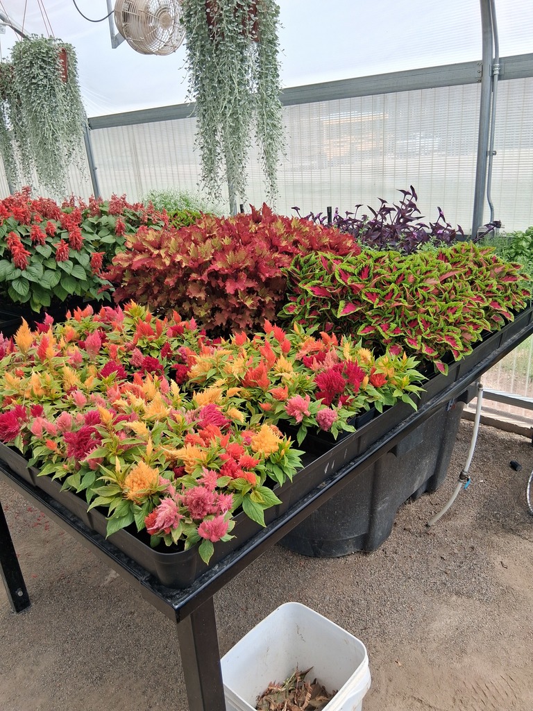 Frontier Public Schools