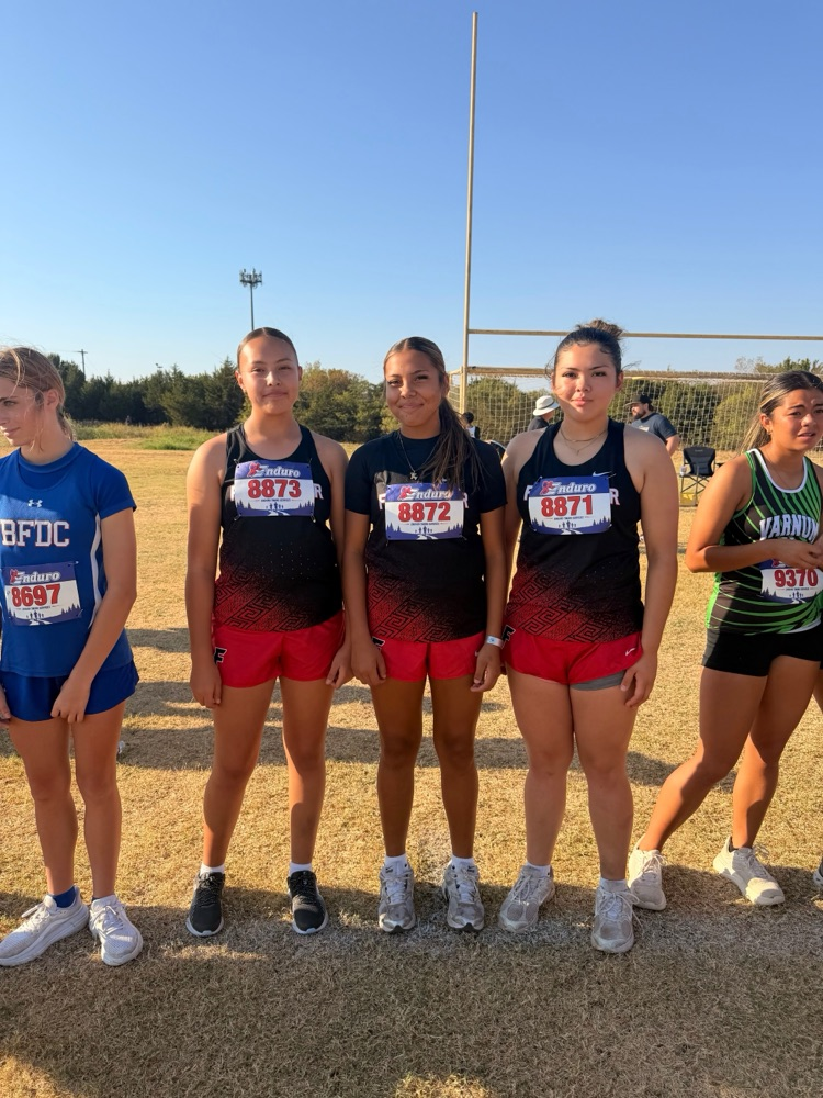 Frontier Mustangs