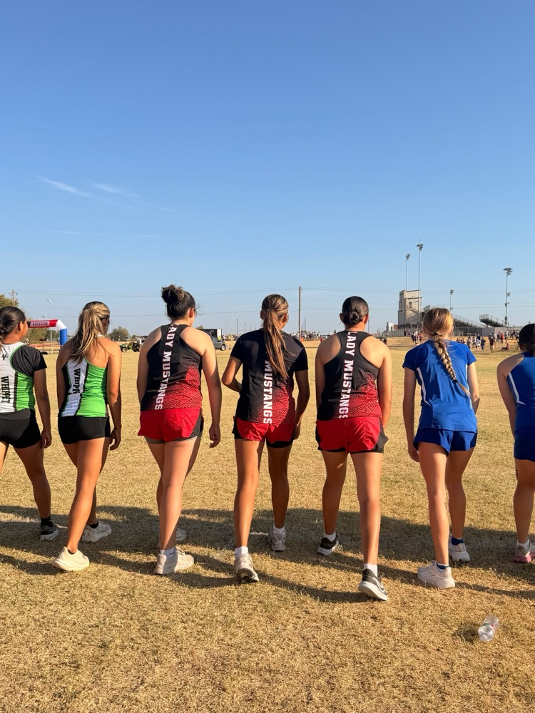 Frontier Mustangs