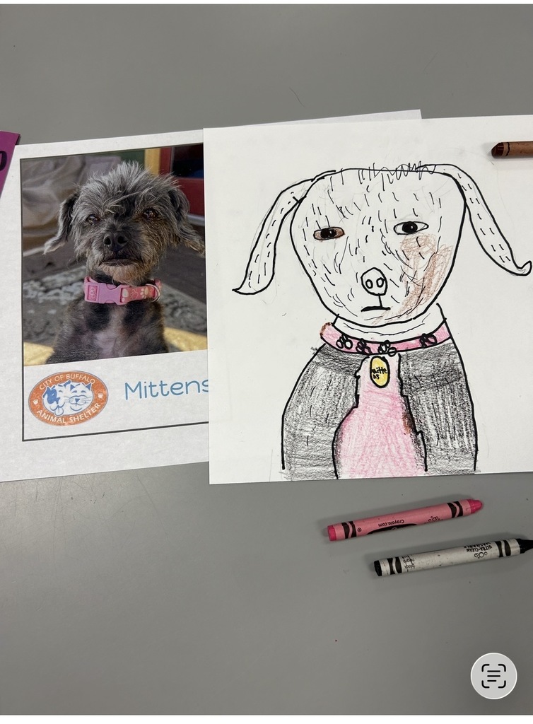3rd Graders drawing of Mittens to adopt