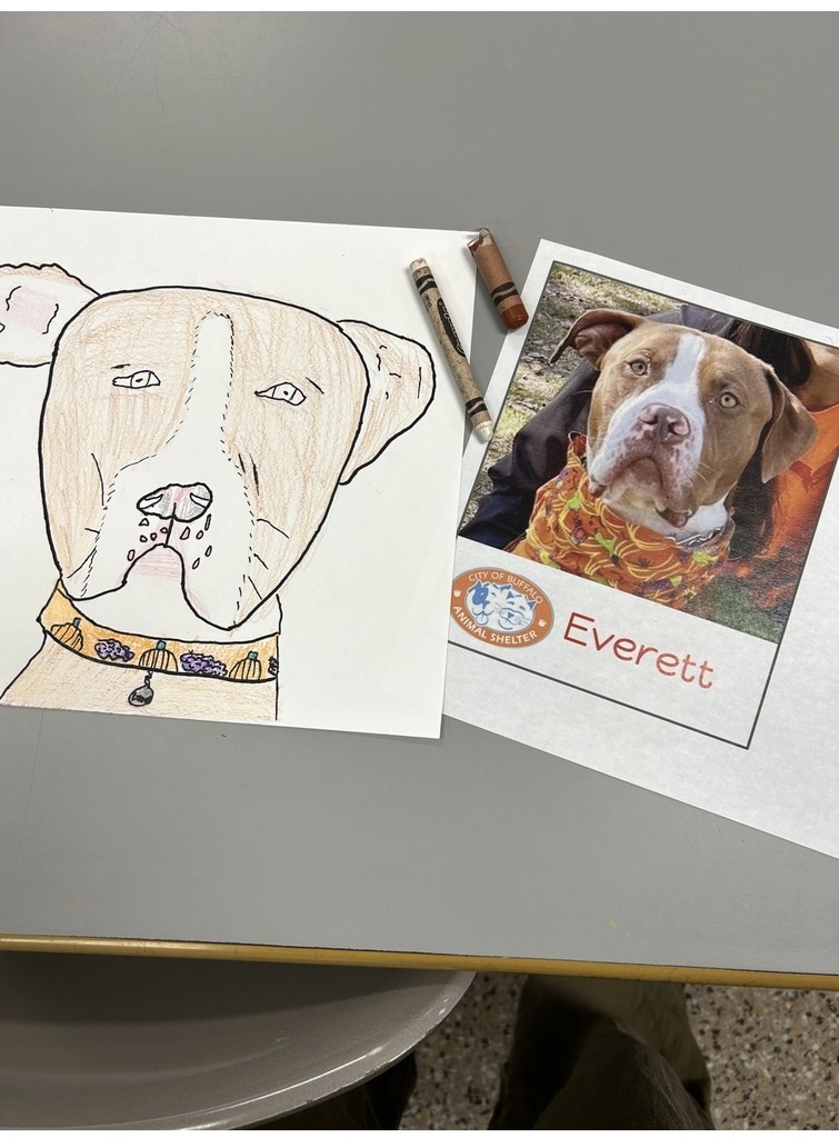 3rd Grader's drawing of Everett to adopt