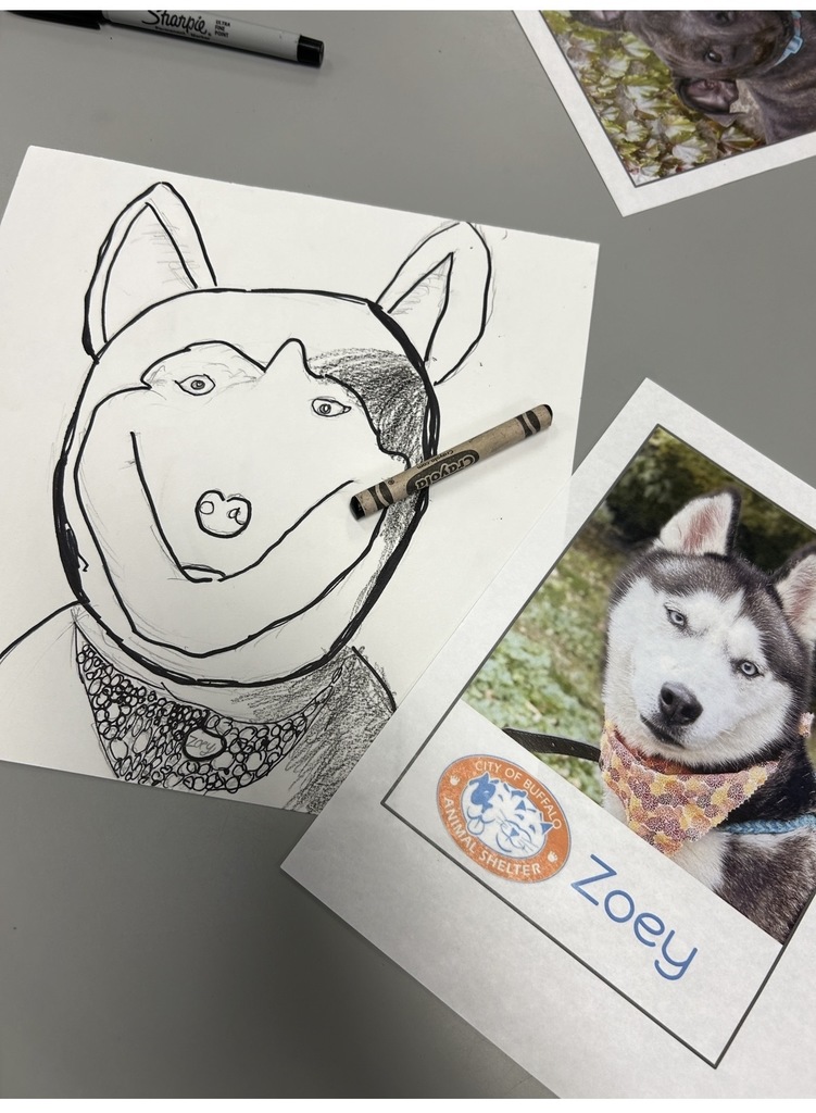 3rd Grader's drawing of Zoey to adopt