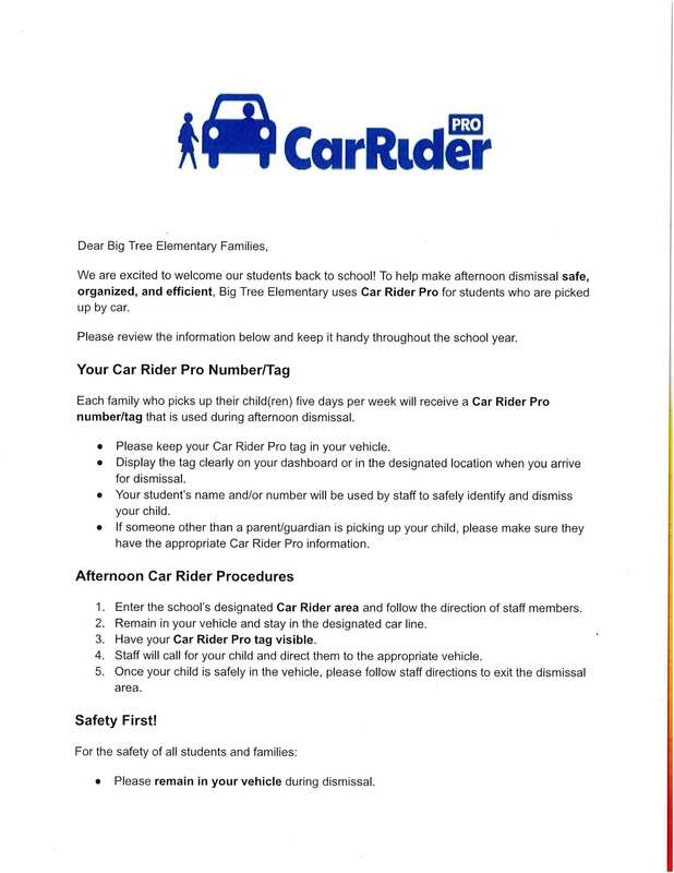Car Rider Pro Info
