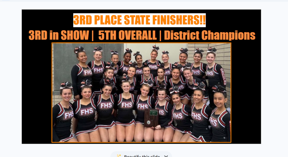 3rd in State Cheer