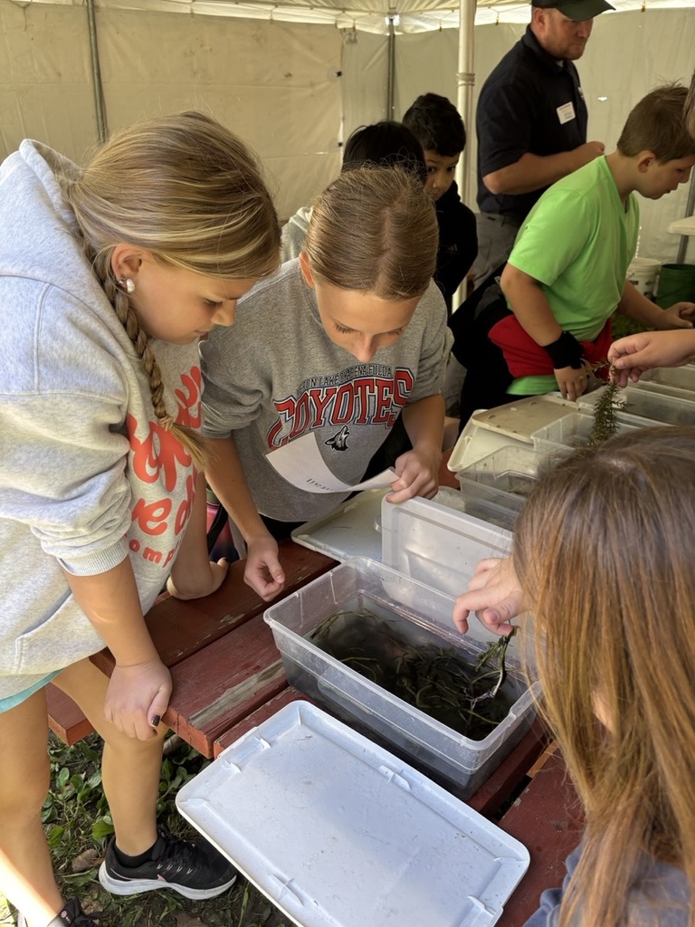 5th Grade at Environmental Fair