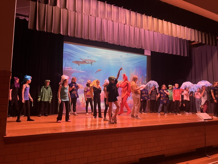 The sea creatures, "under the sea”