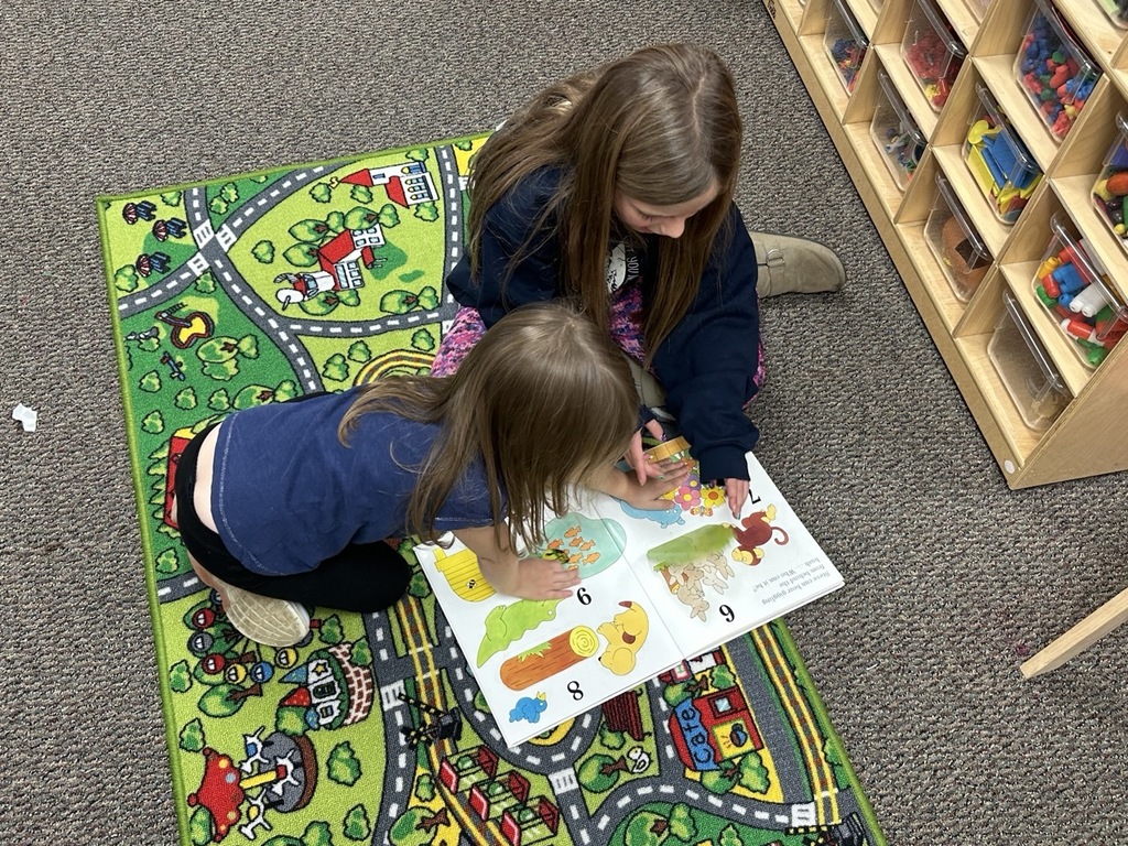 Buddy Readers