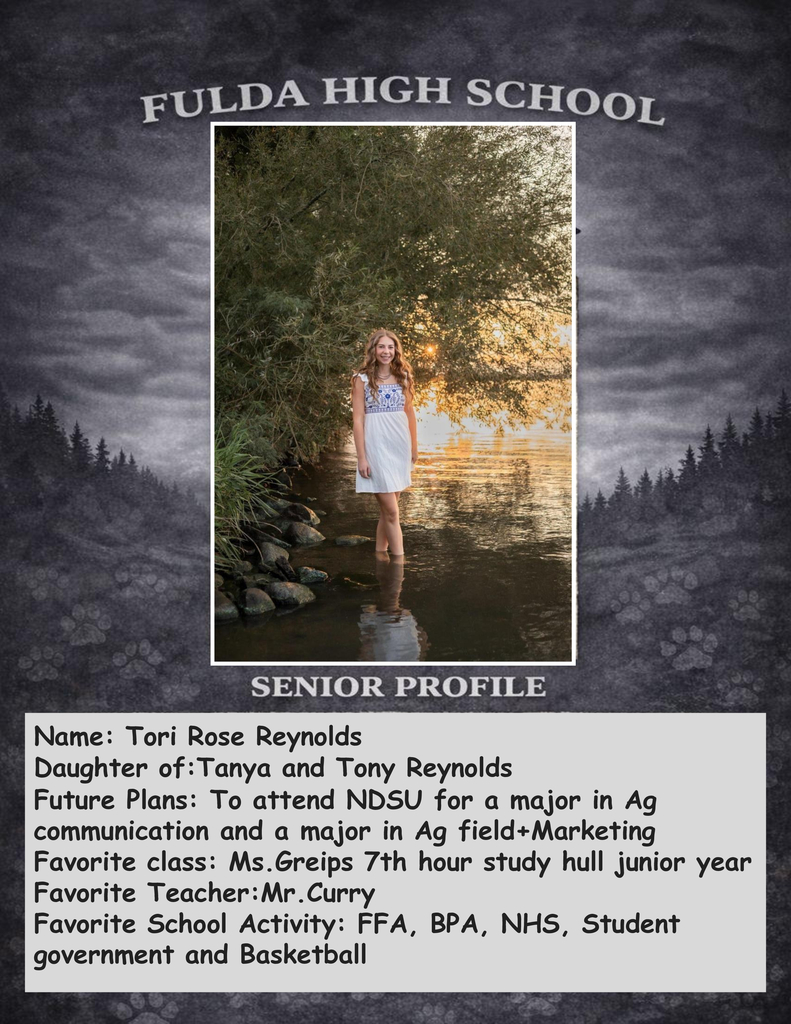 SENIOR PROFILE