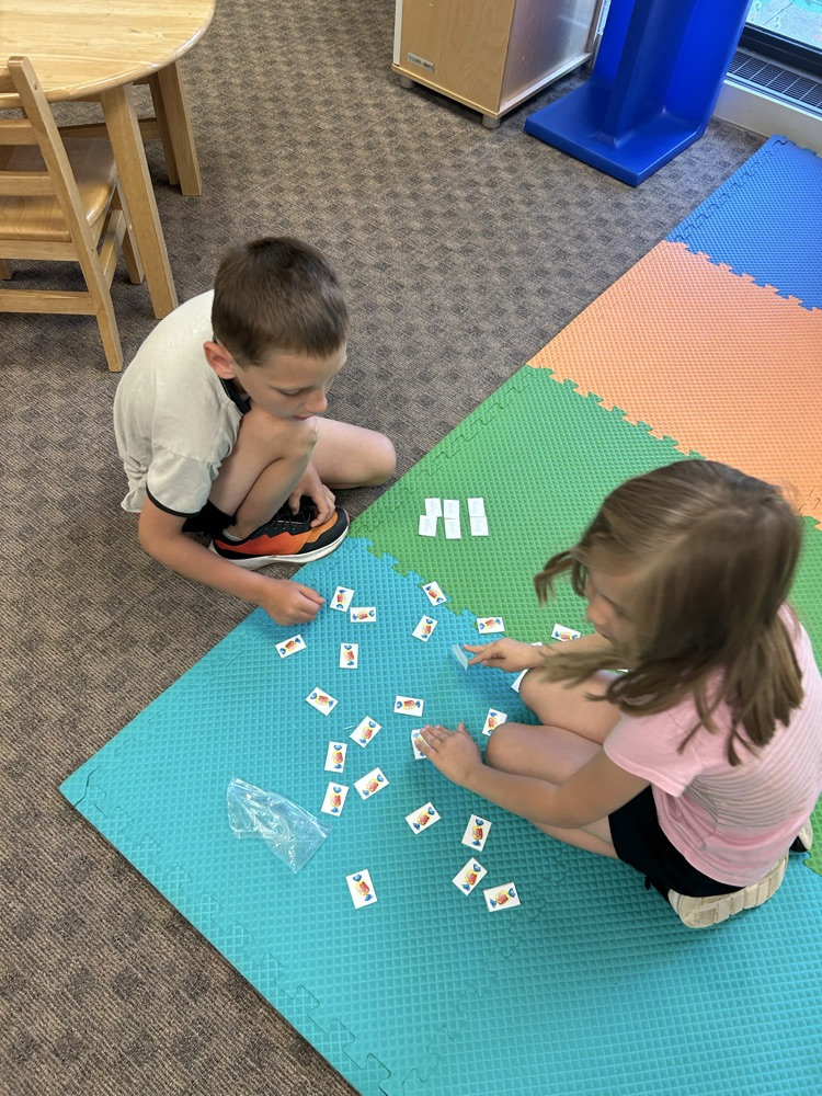 summer school
