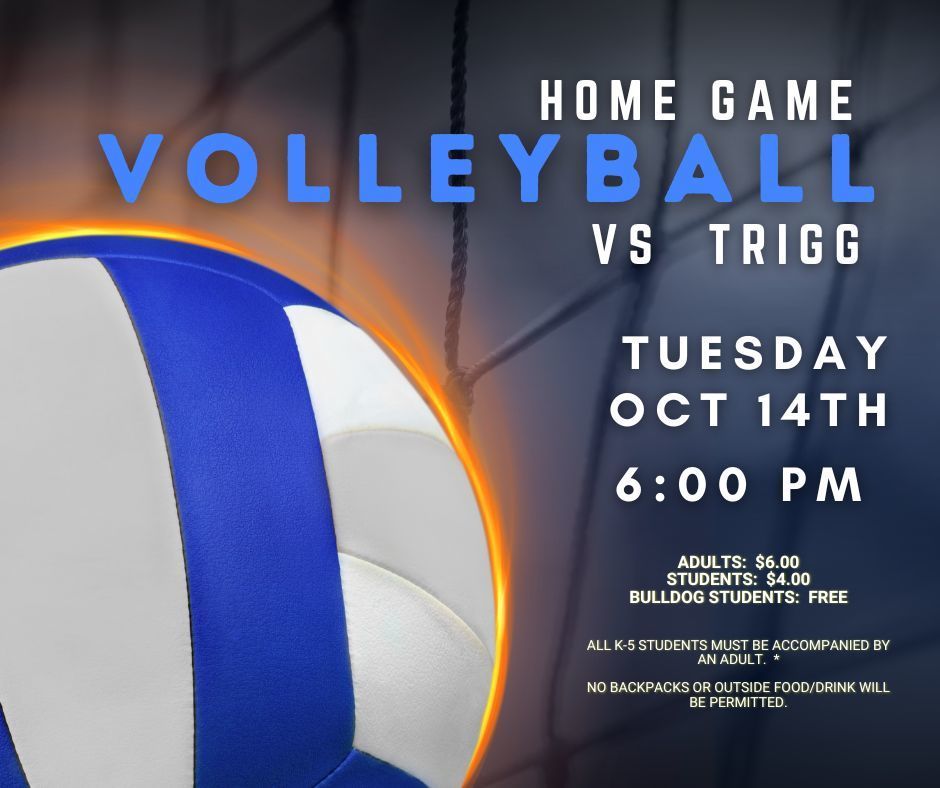 Home Volleyball Game