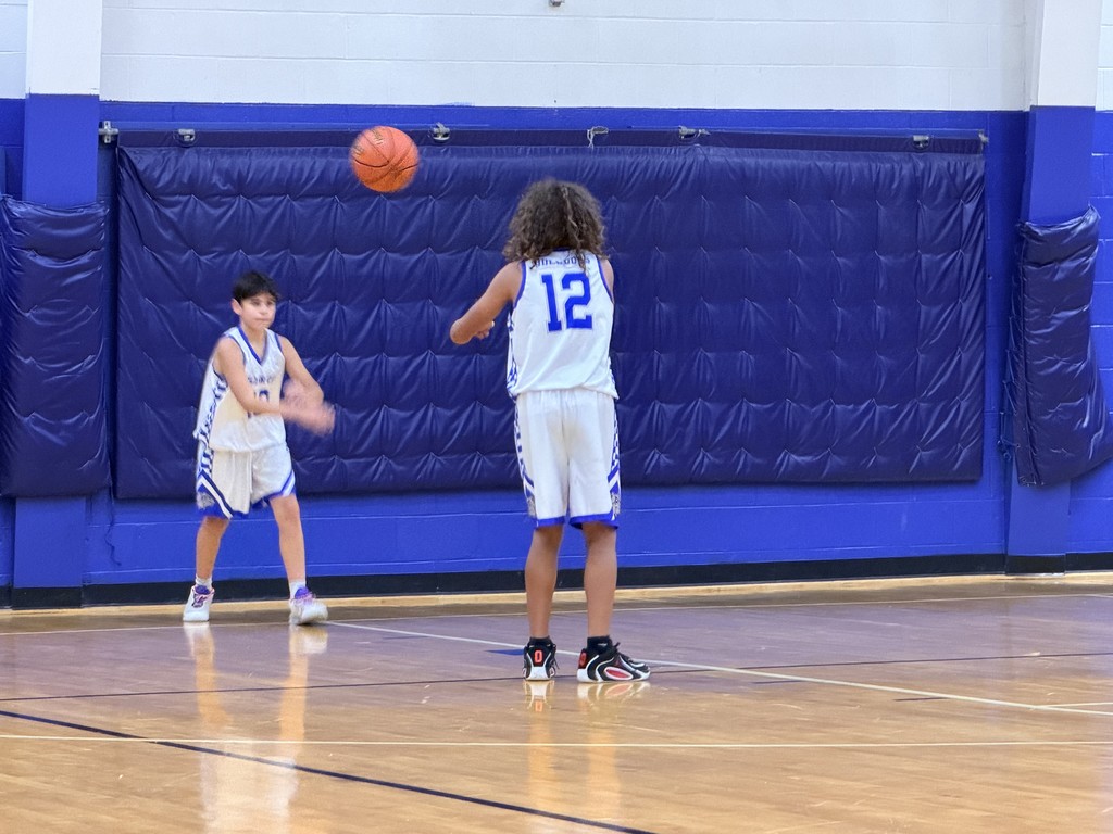 MS BB vs Hickman County