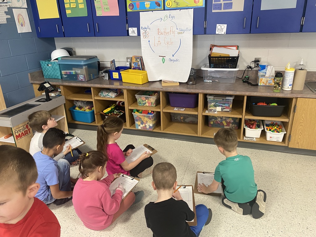 Kindergarten Science 
