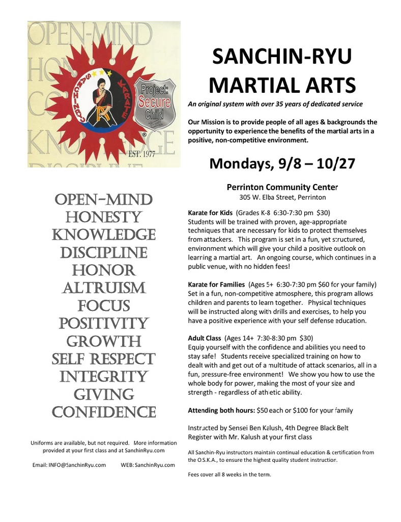 Martial Arts Flyer