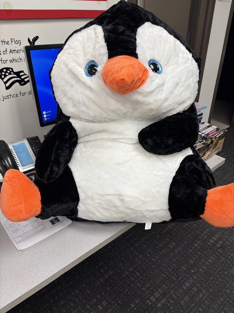 Percy is arriving today  