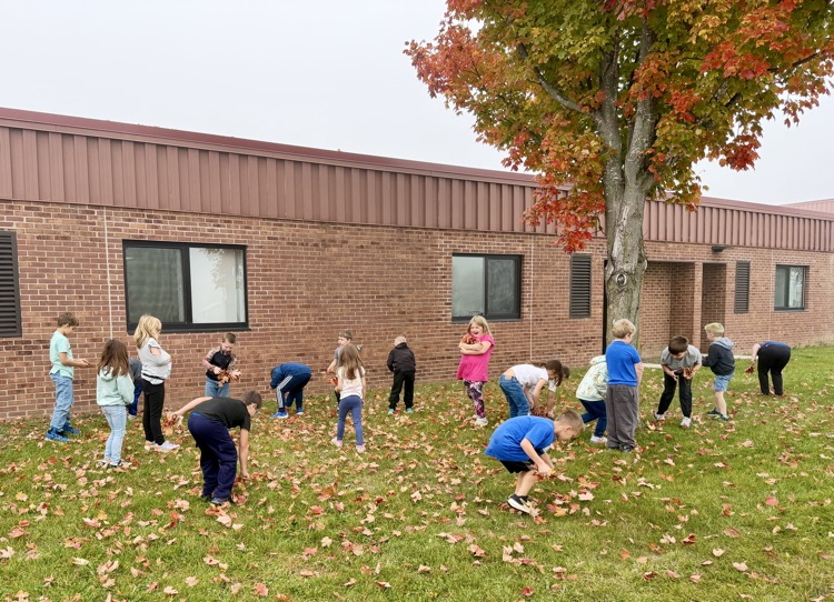 gathering leaves