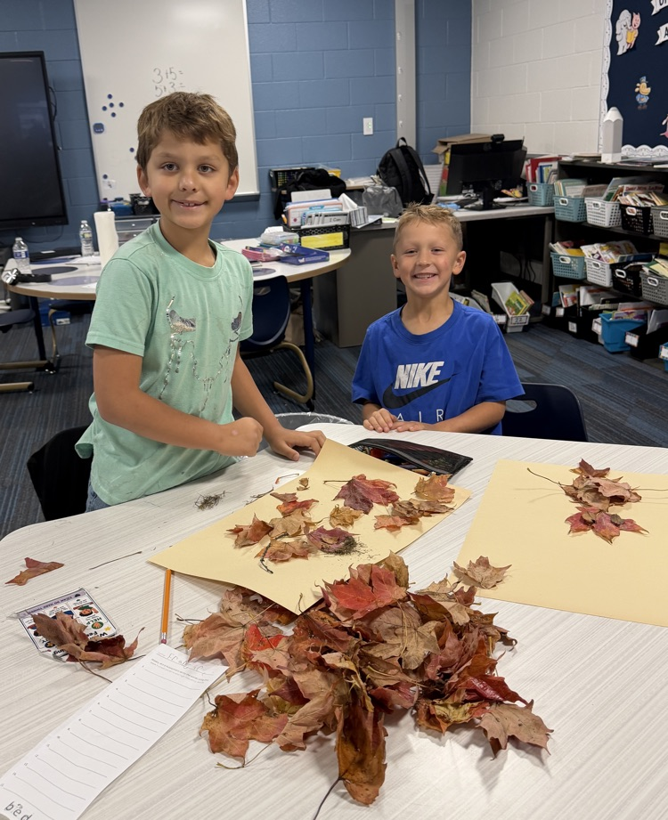 leaf art