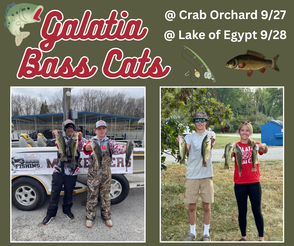 Bass Cats