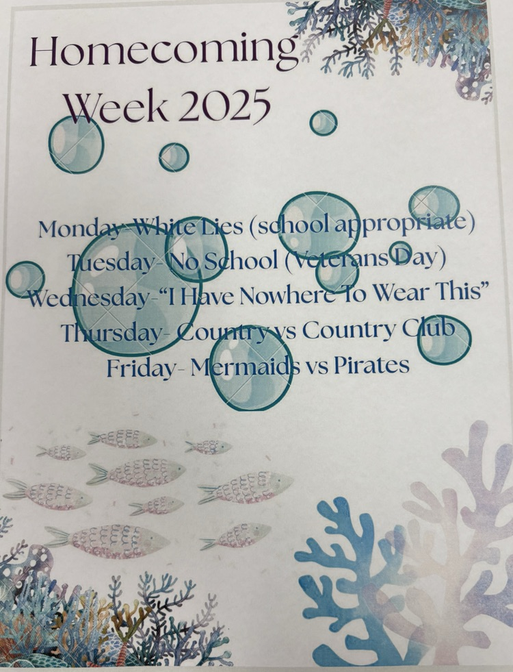 2025 hoco dress up days