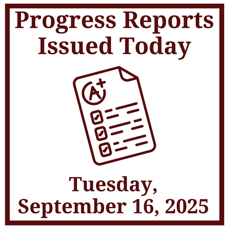 Progress Report