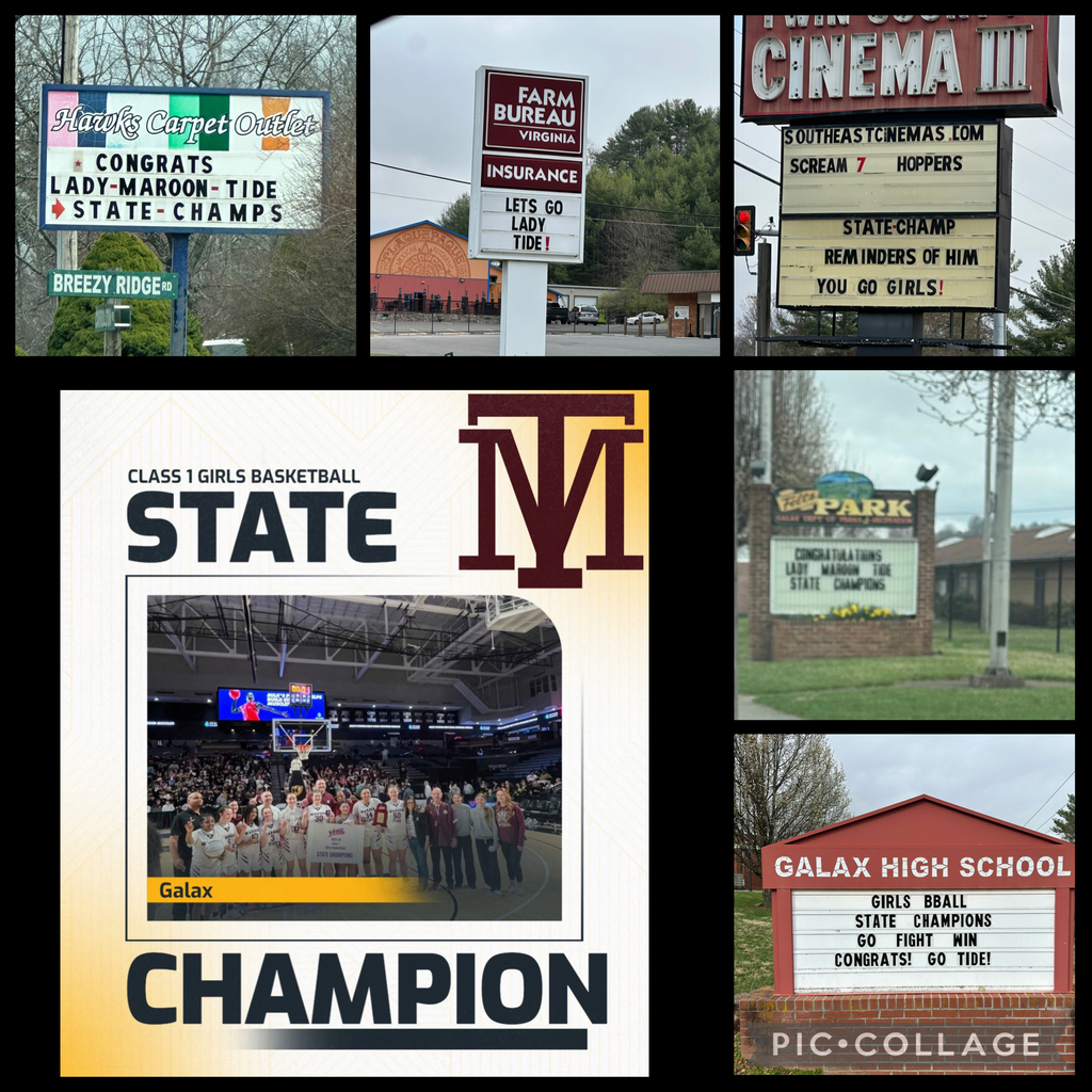 Signs Around Town in Support of MT Basketball