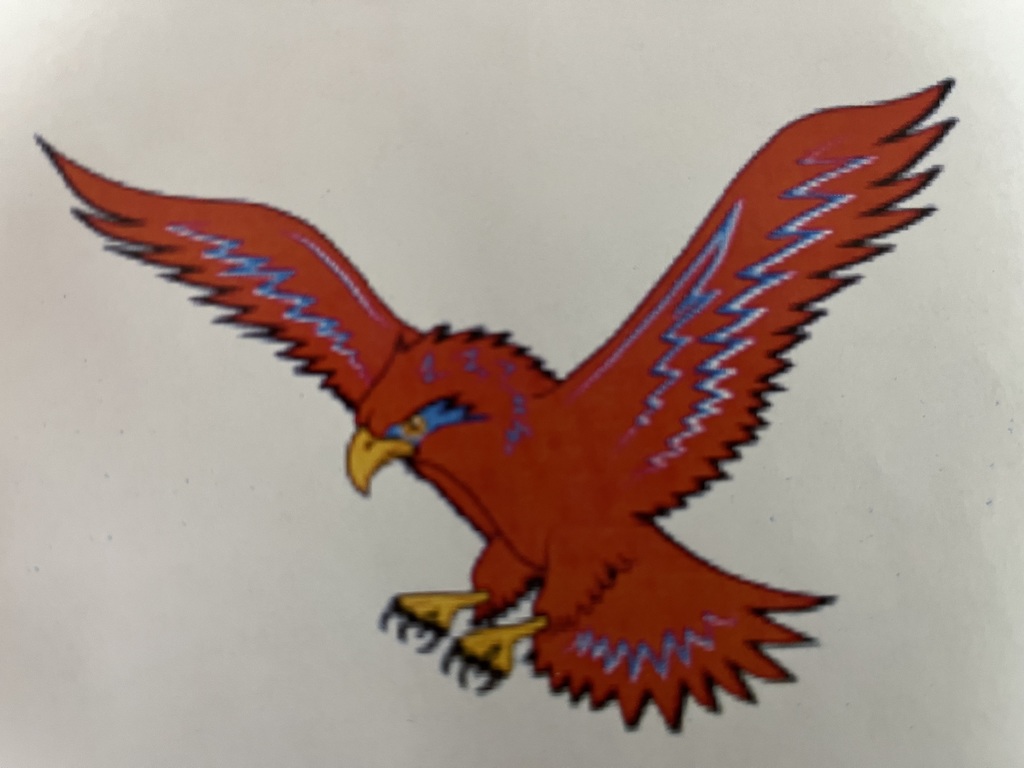 Red Hawks