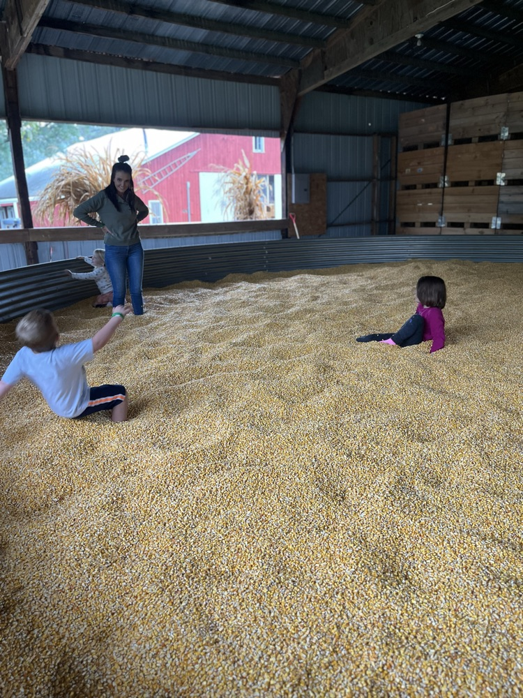 corn