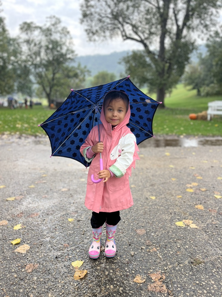 umbrella