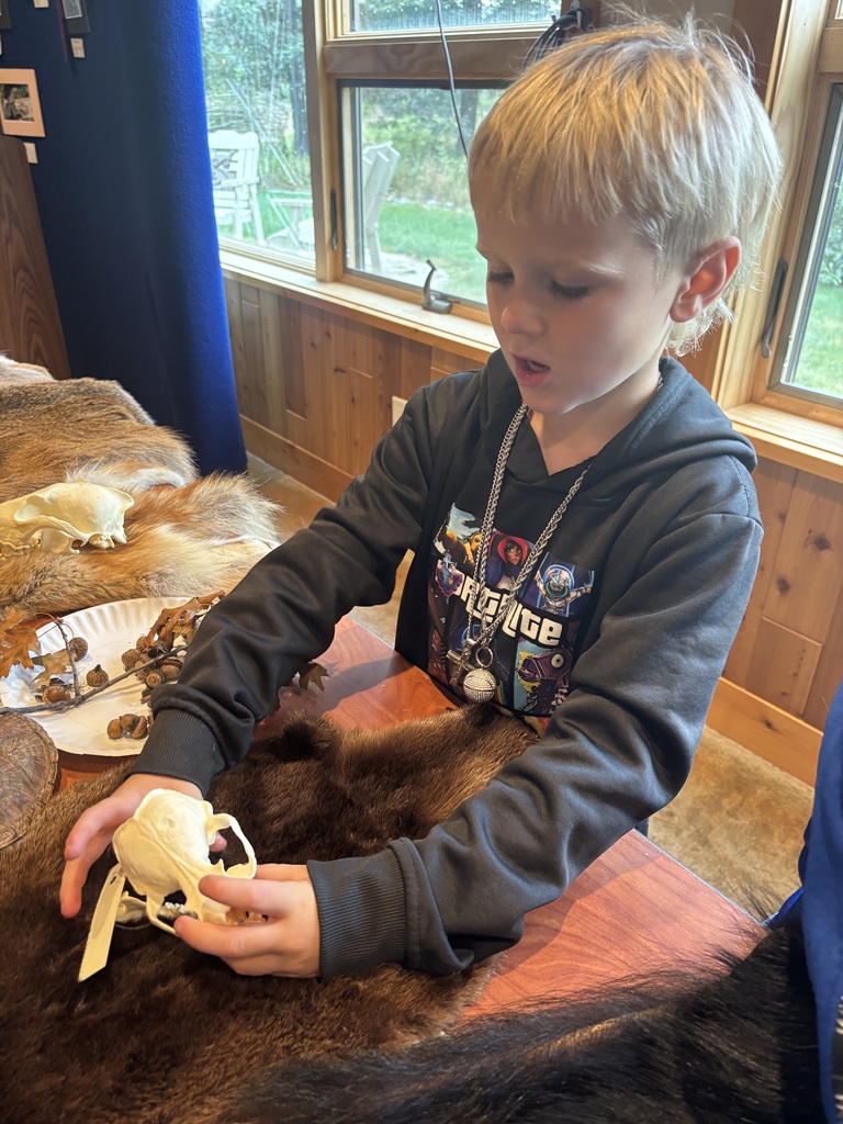 skull