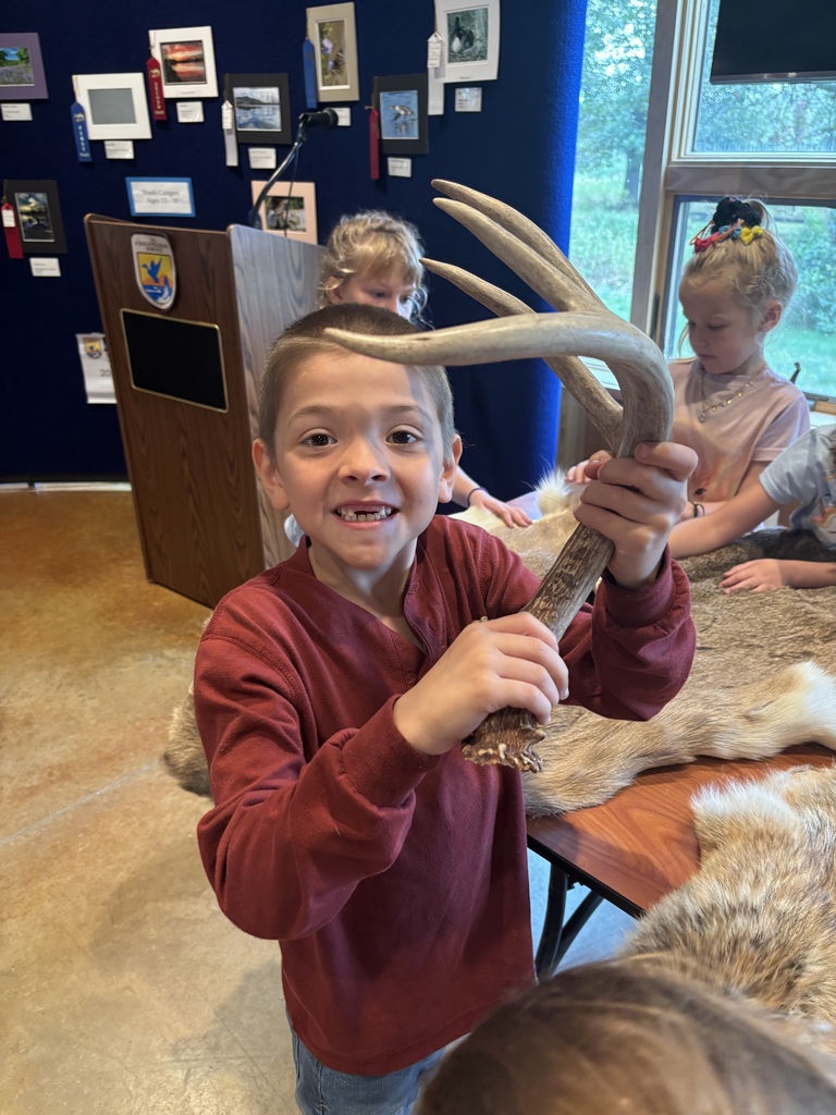 antler