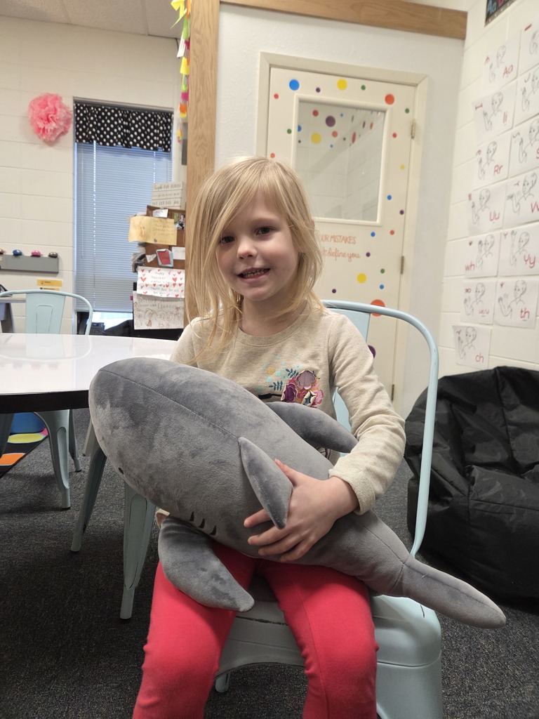 student with a weighted shark