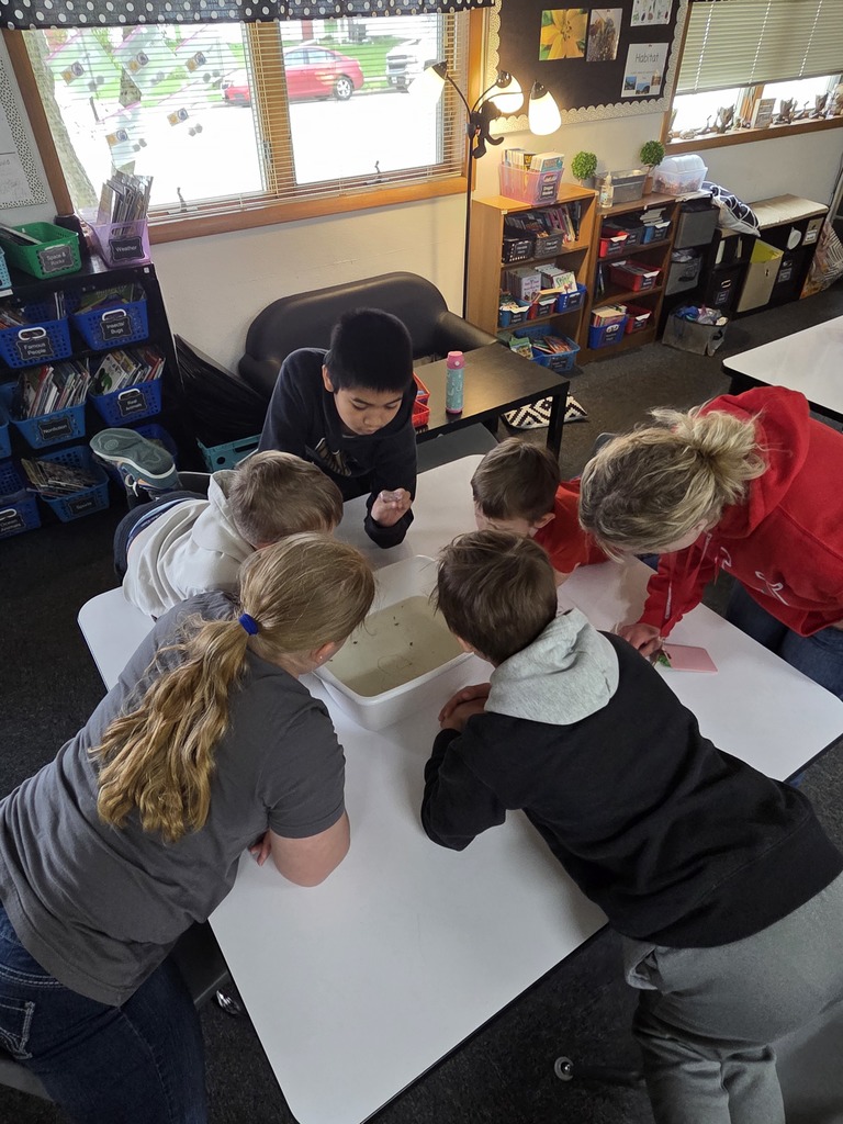 Environmental Day Stations