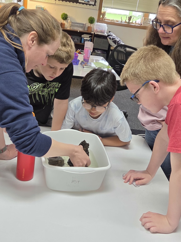 Environmental Day Stations