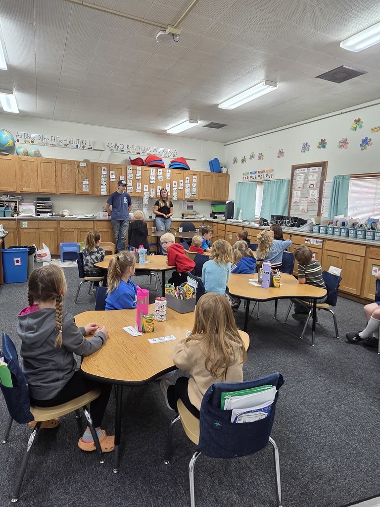 Environmental Day Stations