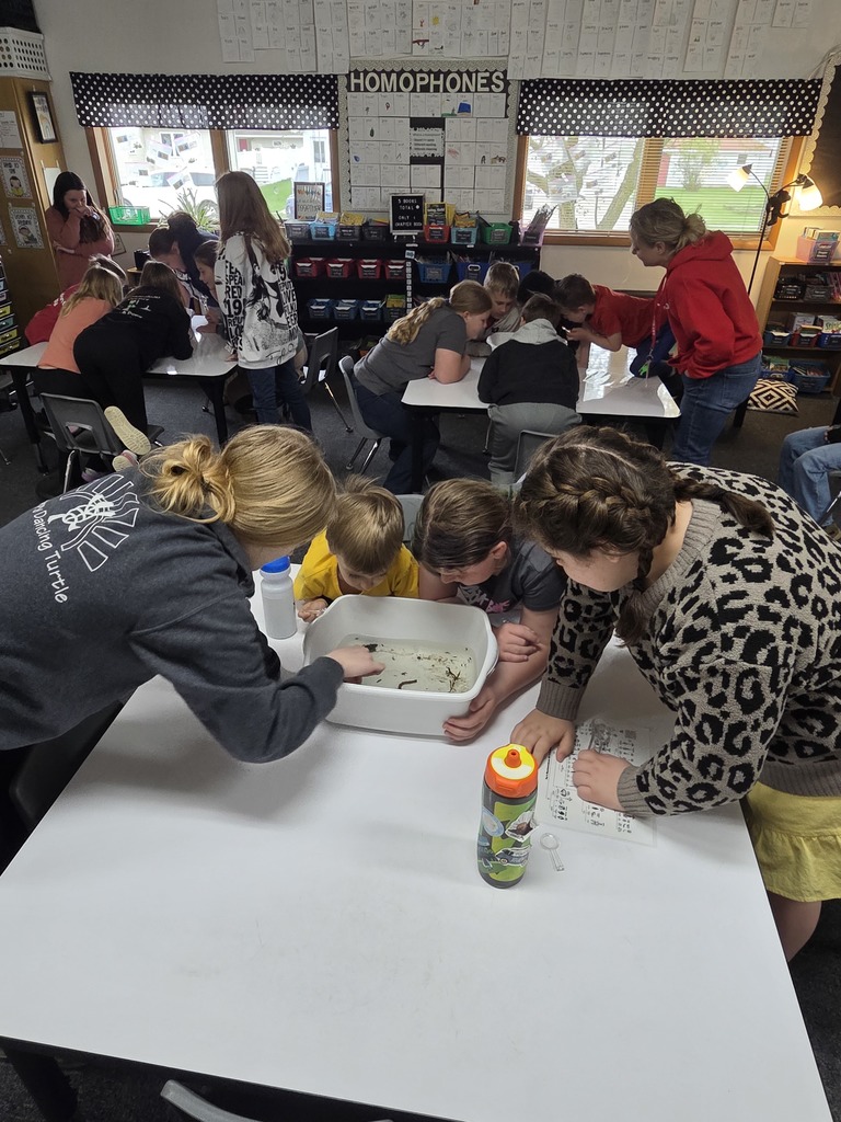 Environmental Day Stations