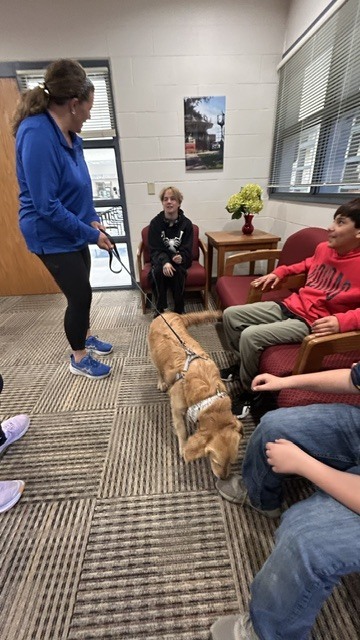 Therapy Dog 