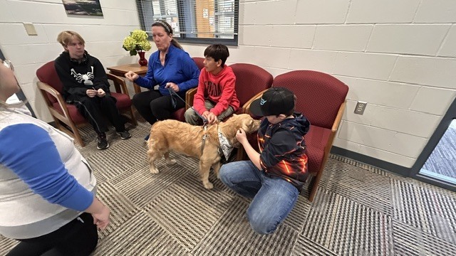 Therapy Dog 